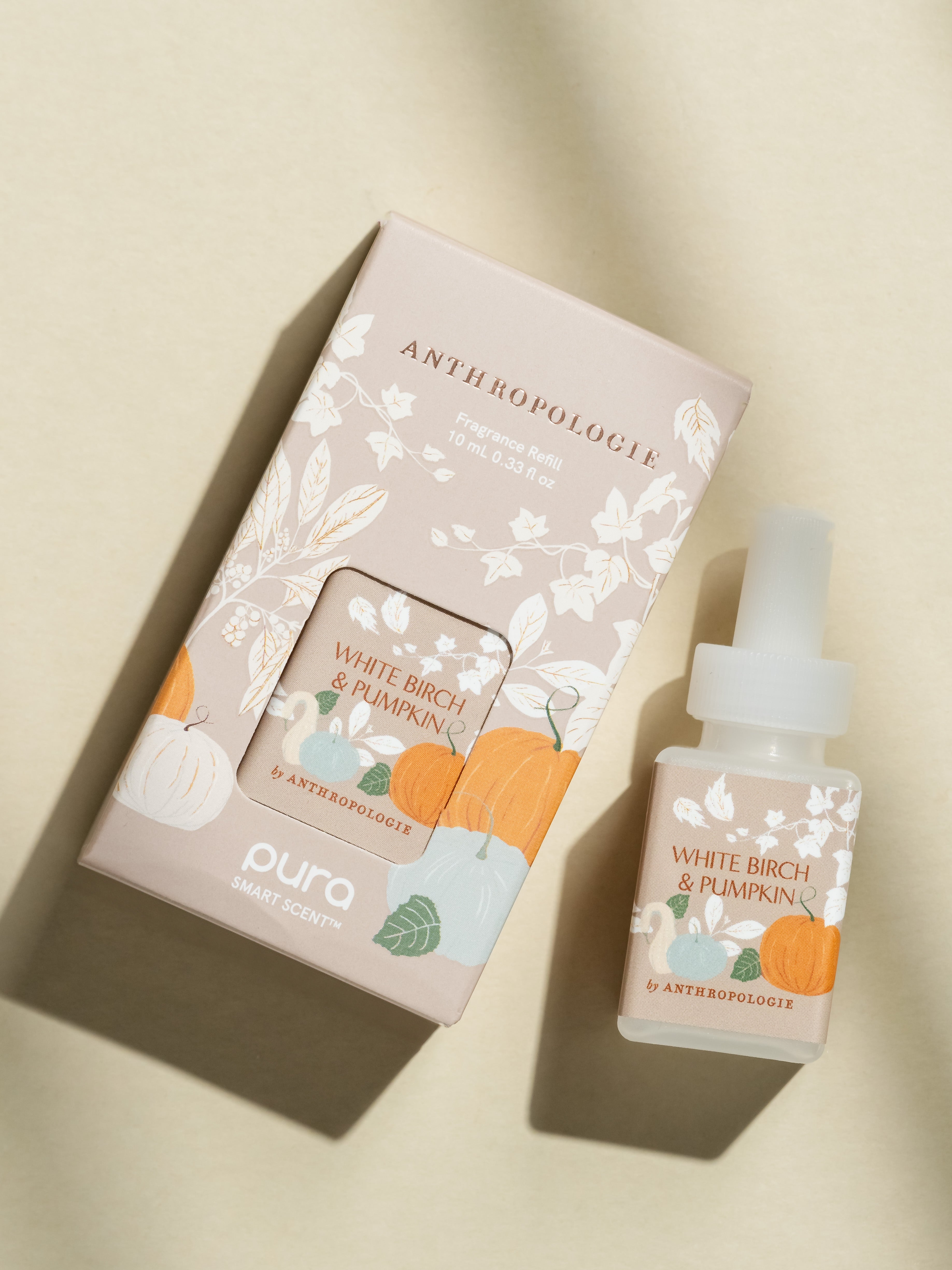 White Birch & Pumpkin - Every Room Needs a Great Scent