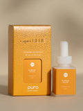 Pumpkin Dulce - Every Space Needs Freshness