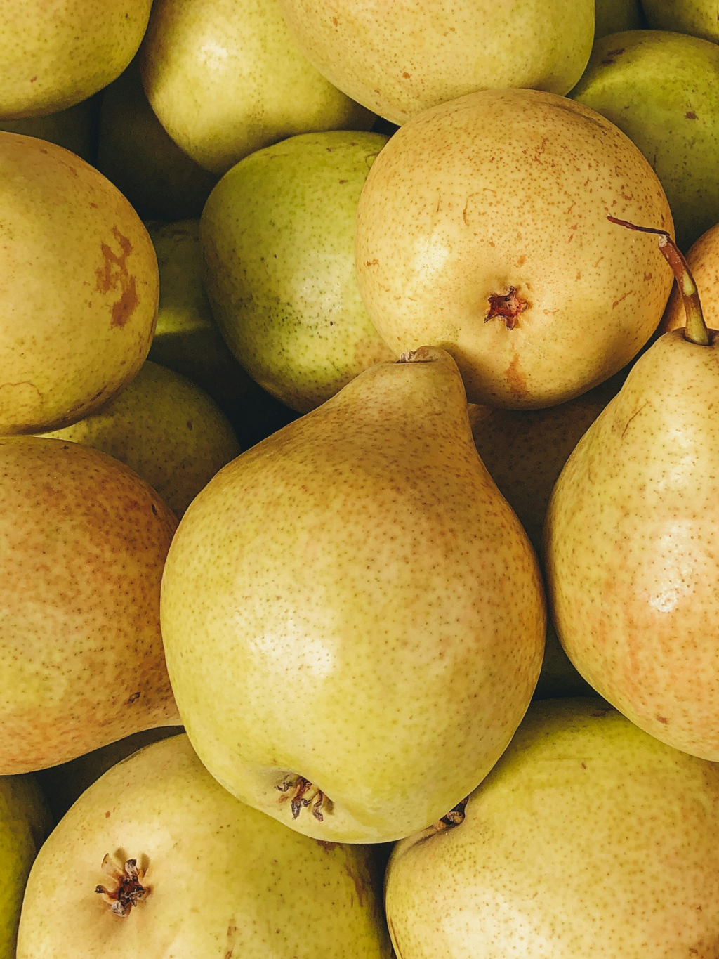 Cashmere Pear - Create Your Everyday Scent