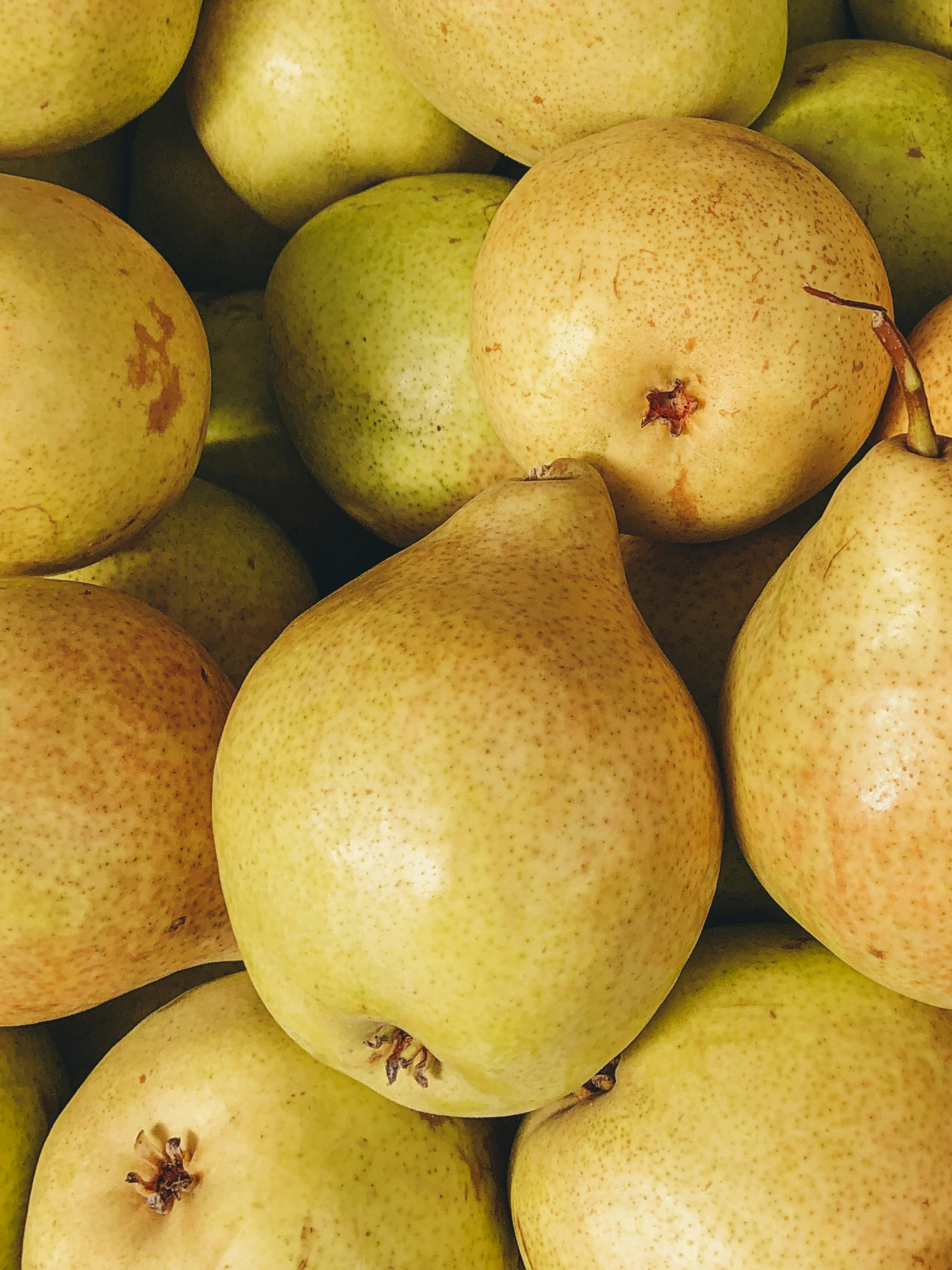 Cashmere Pear - Create Your Everyday Scent