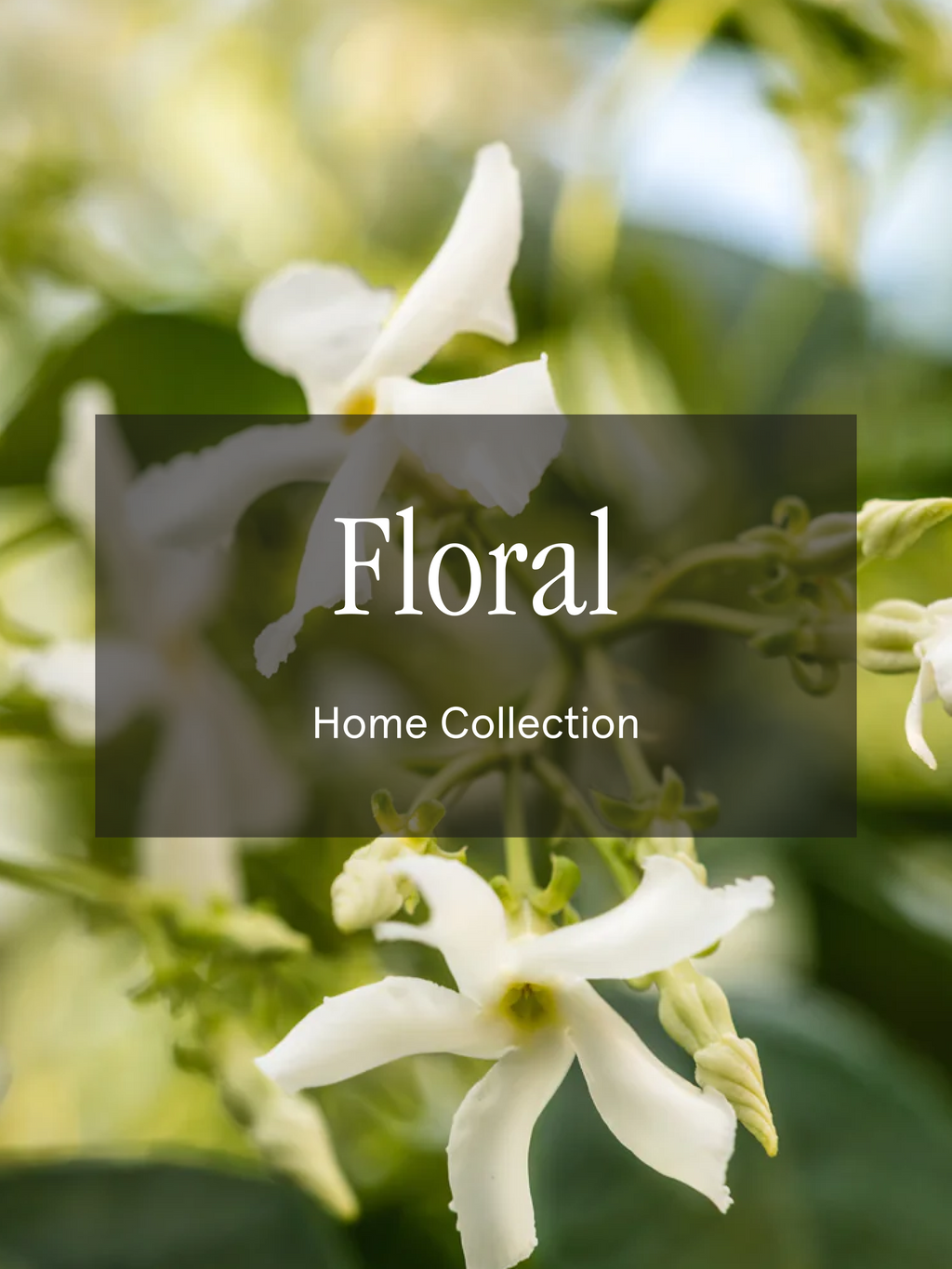 Floral - Home Freshness You Can Change