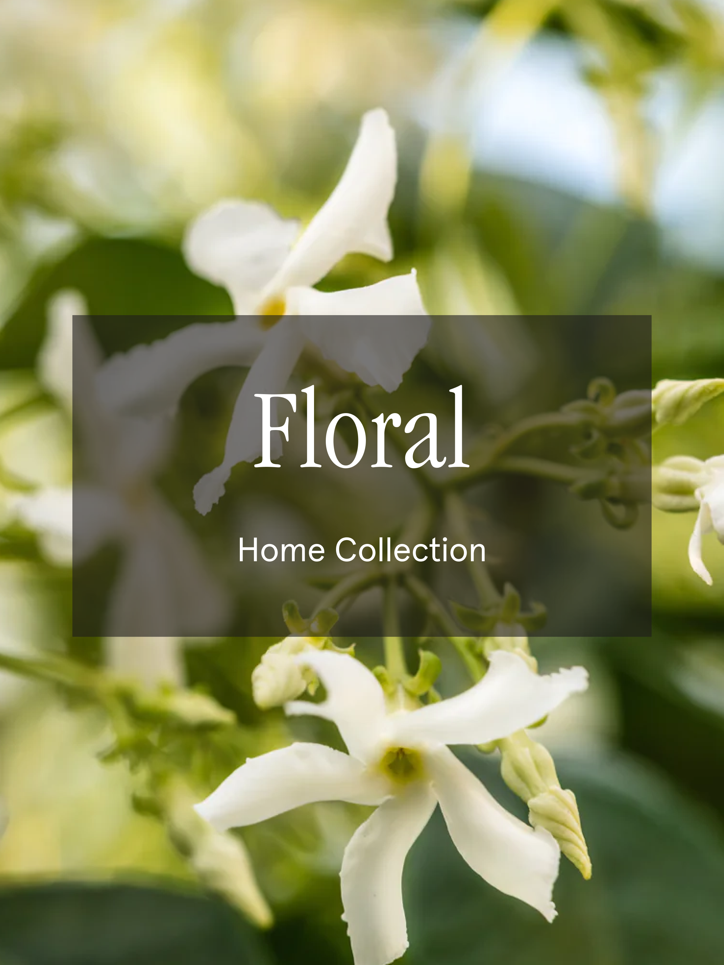 Floral - Home Freshness You Can Change