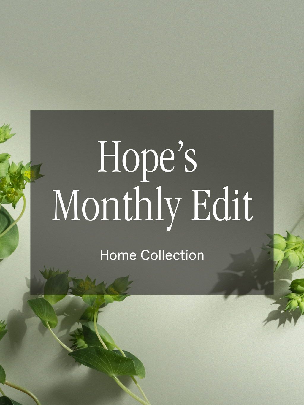 Hope's Monthly Edit - Bring Home a Better Scent