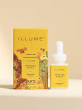 Rhubarb Honey - Bring Fresh Scent to Life