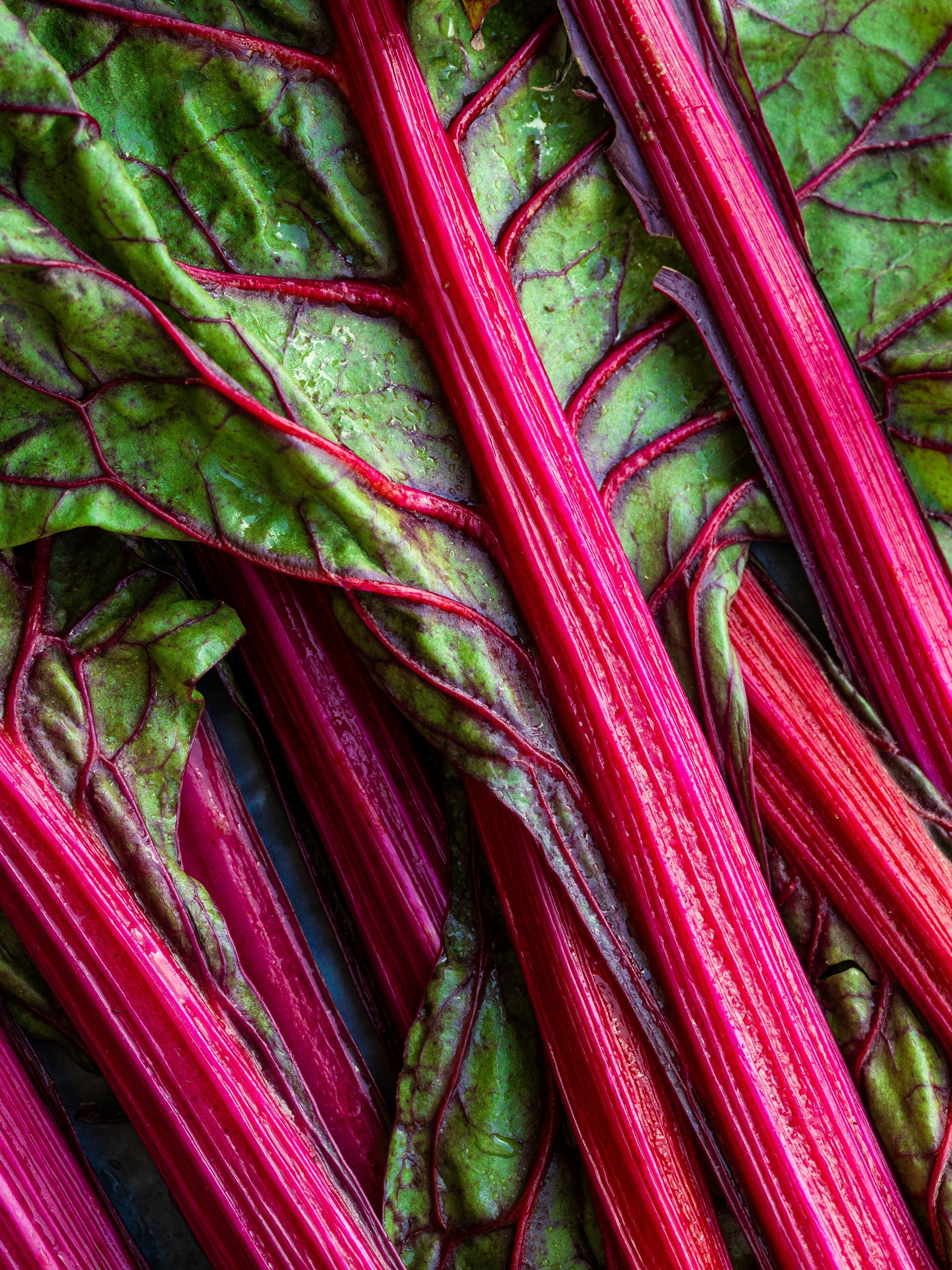 Rhubarb Honey - Bring Fresh Scent to Life