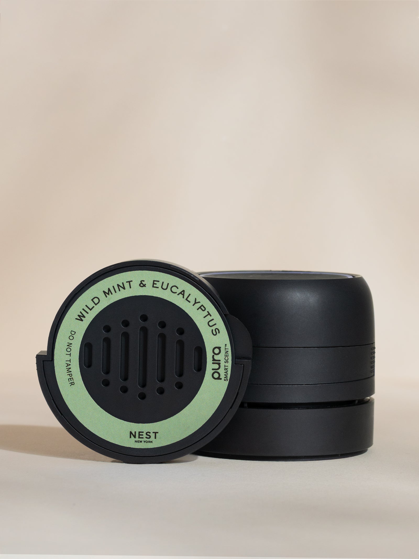 Wild Mint & Eucalyptus - Your Home Scent Upgrade