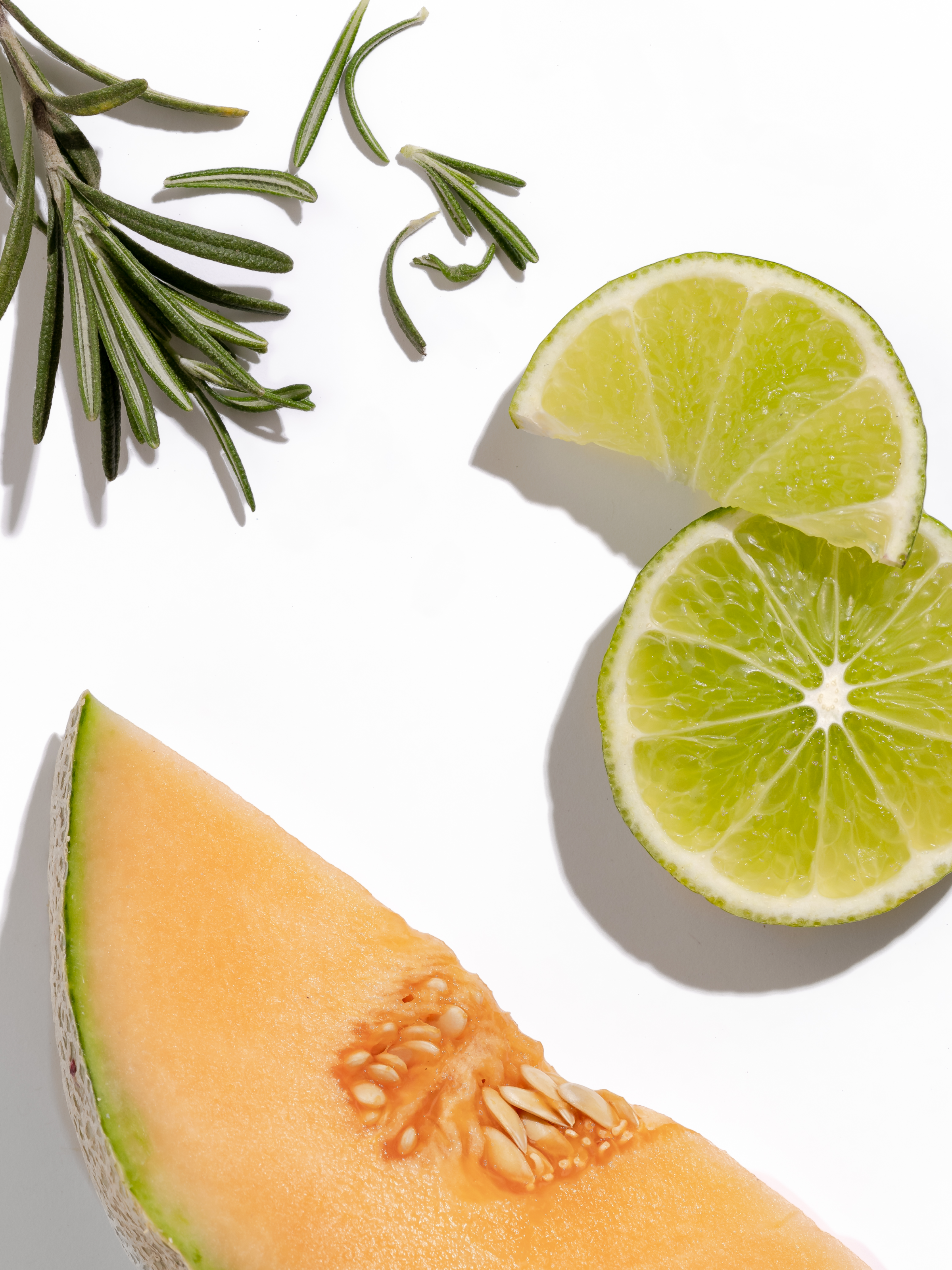 Paloma Melon - Make Room for Freshness