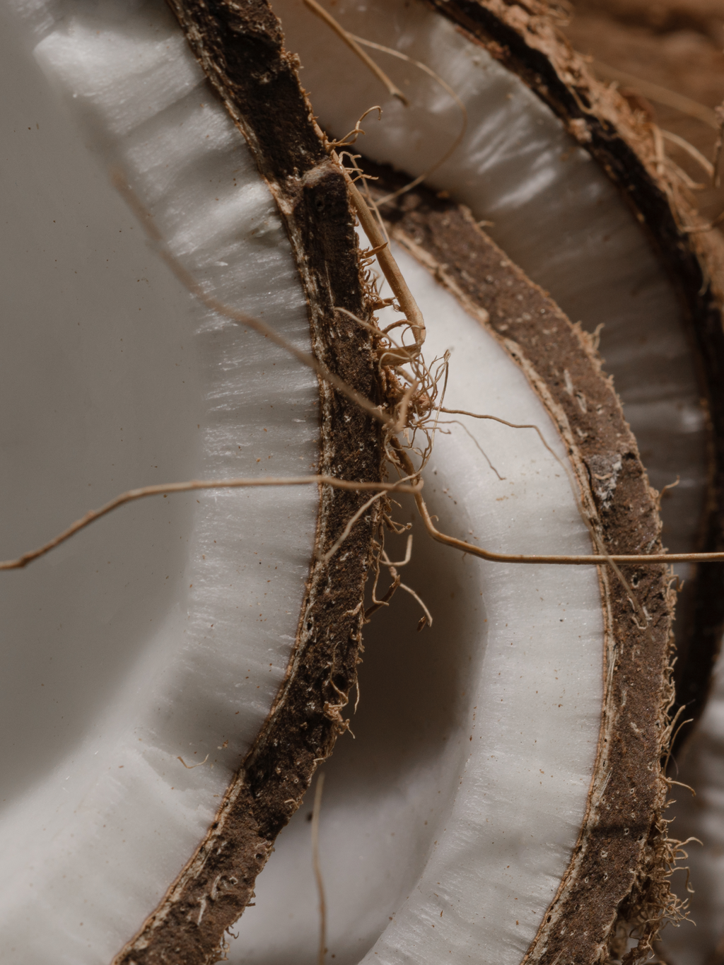 Del Mar - Fragrance for the Whole Home