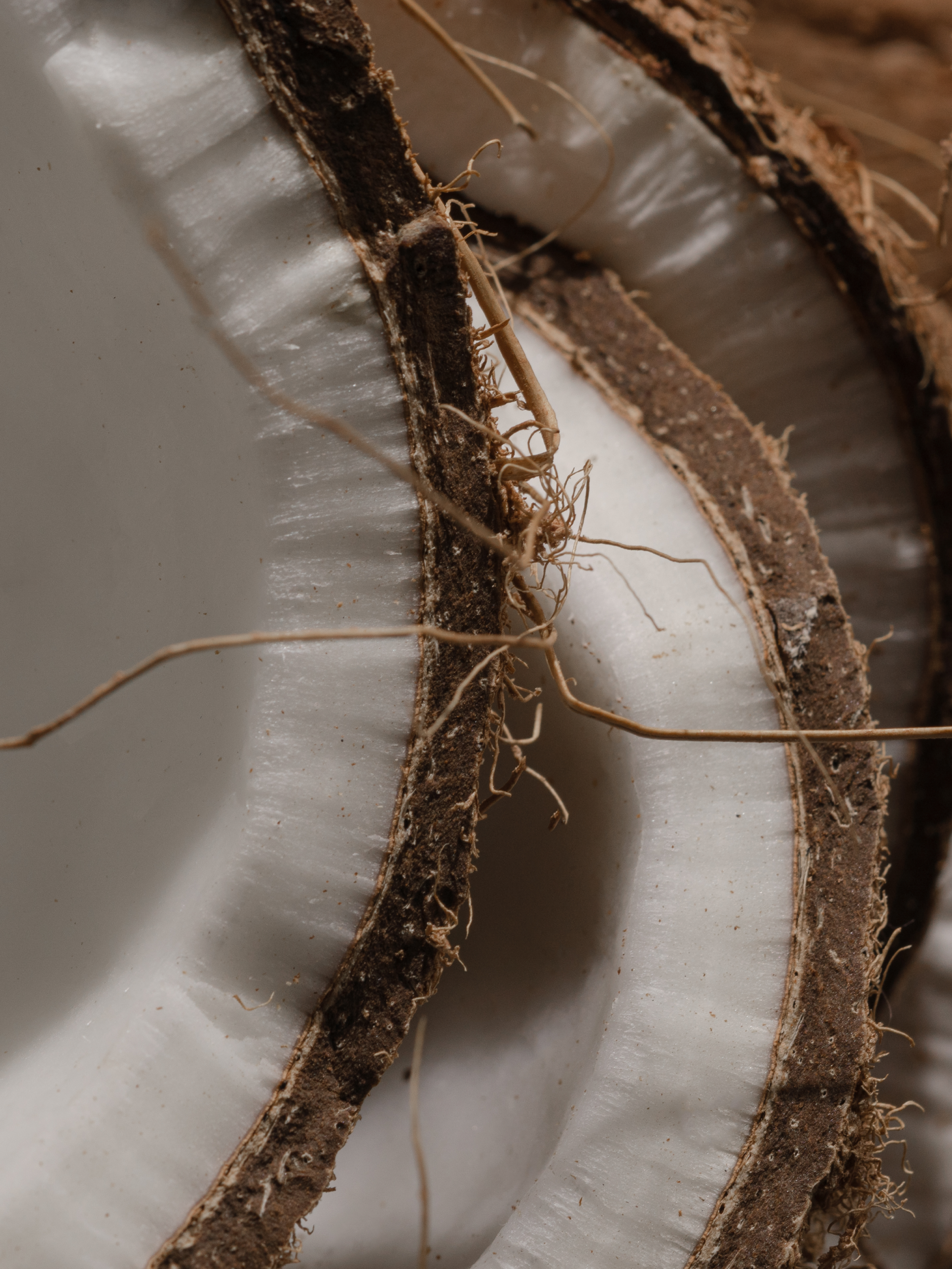 Del Mar - Fragrance for the Whole Home