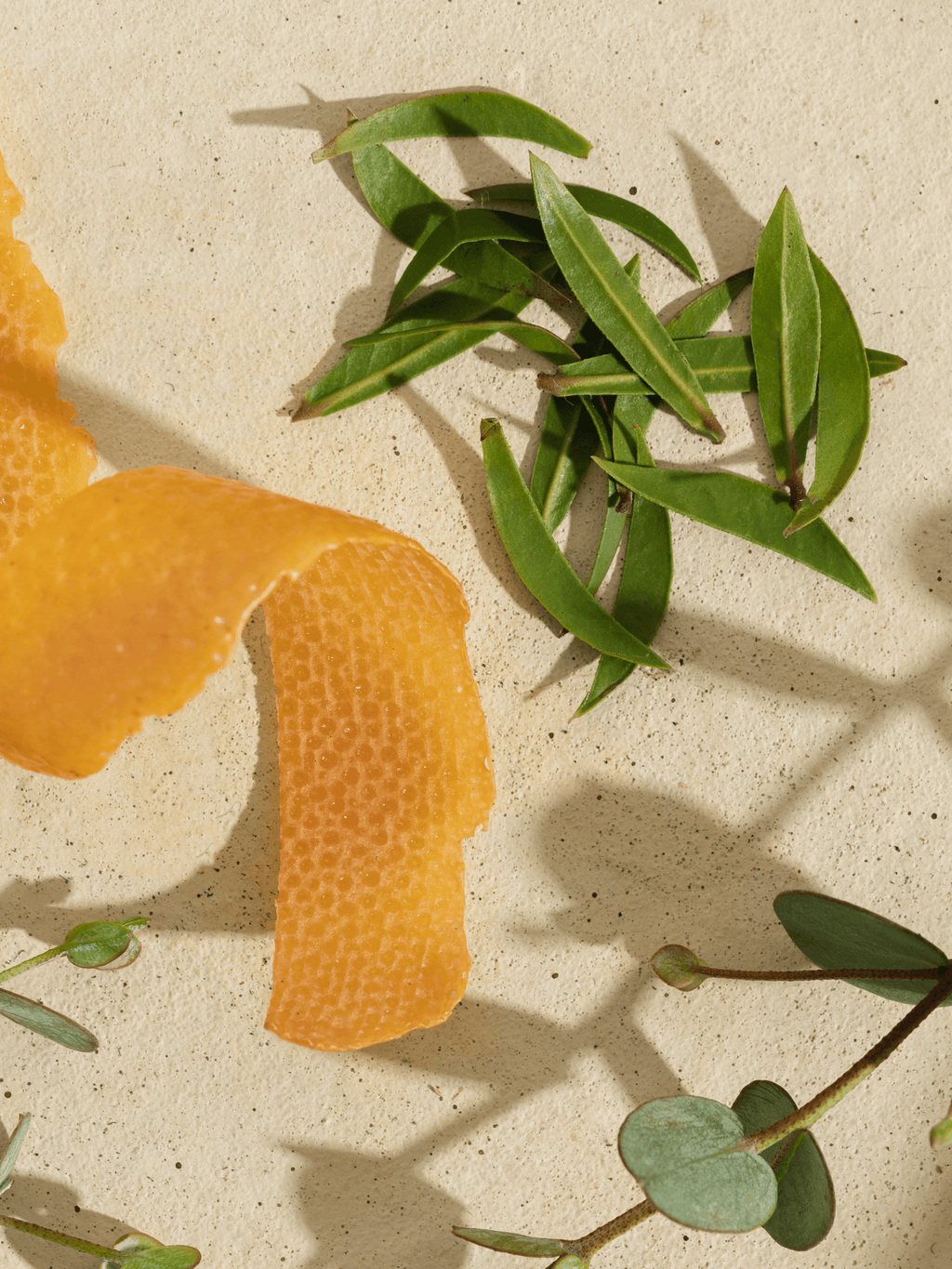 White Tea Blossom - Fresh Scent for Busy Days