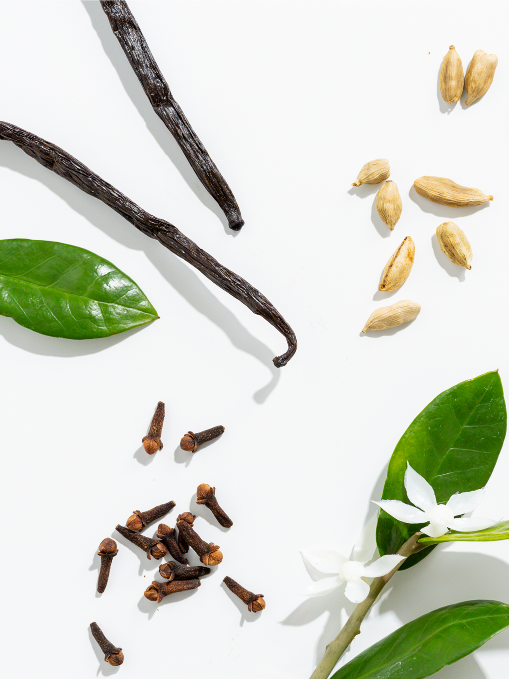 Italia - Your Home Scent Upgrade