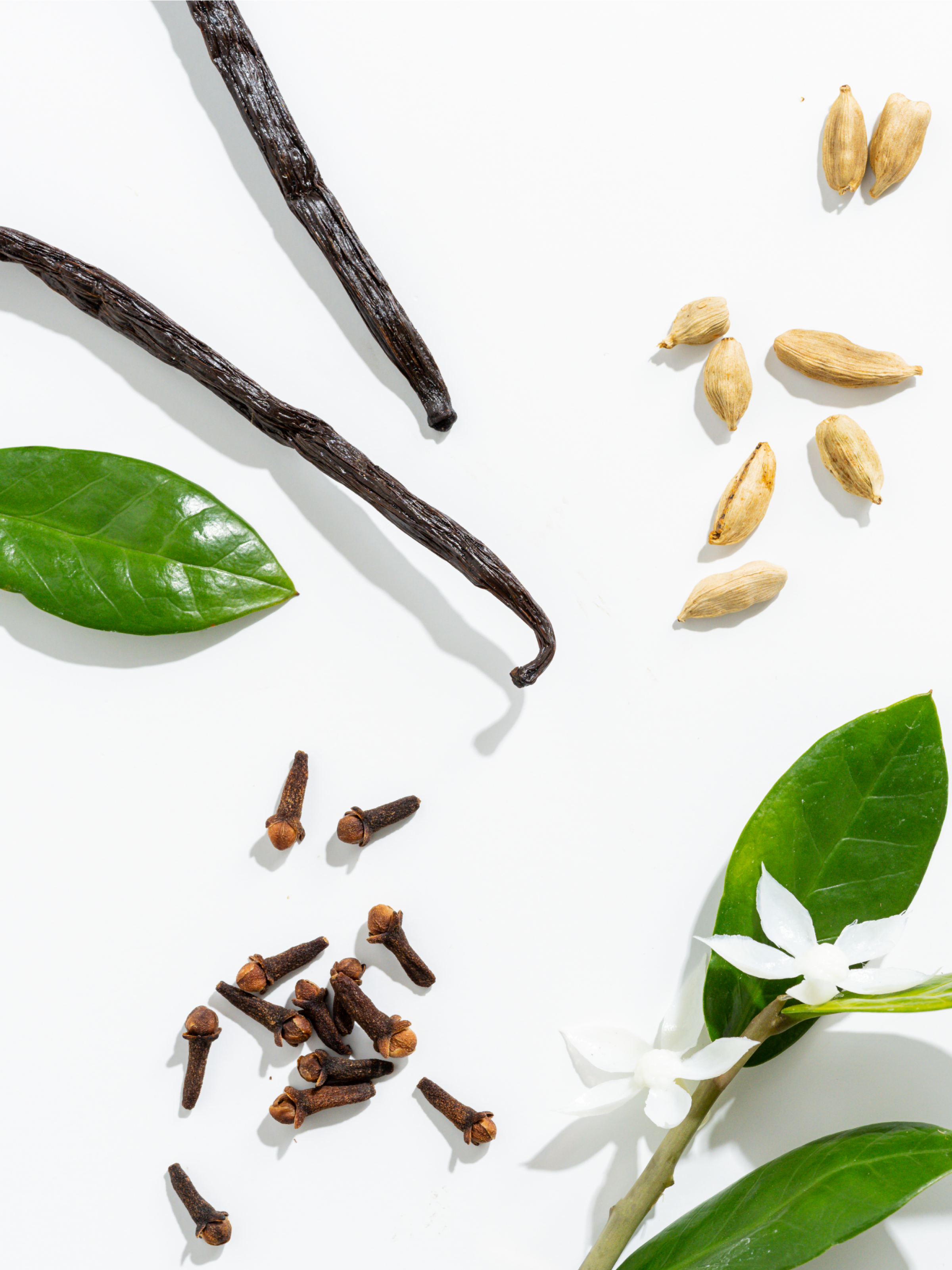 Italia - Your Home Scent Upgrade
