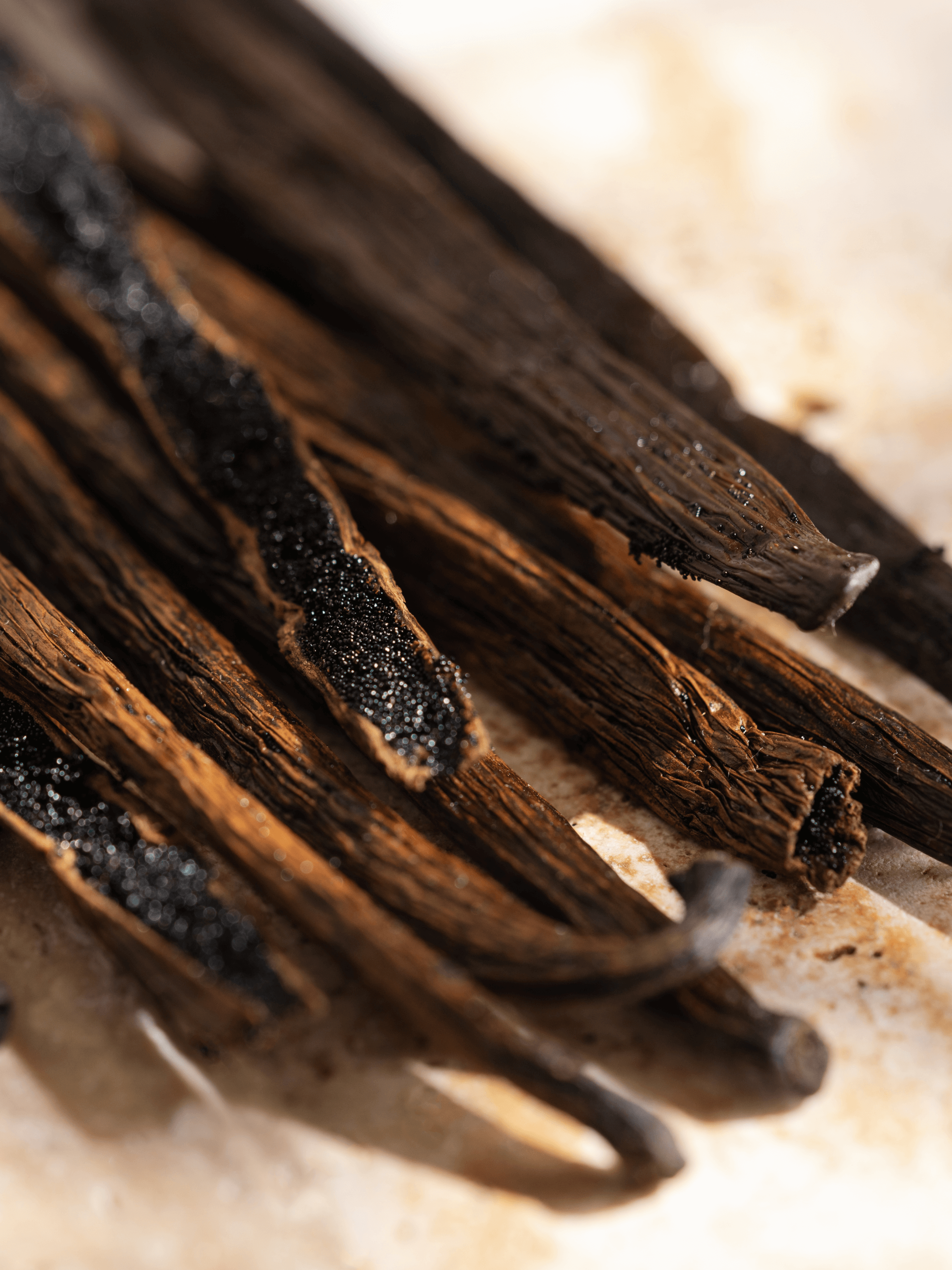 Vanilla - Scent Your Entryway
