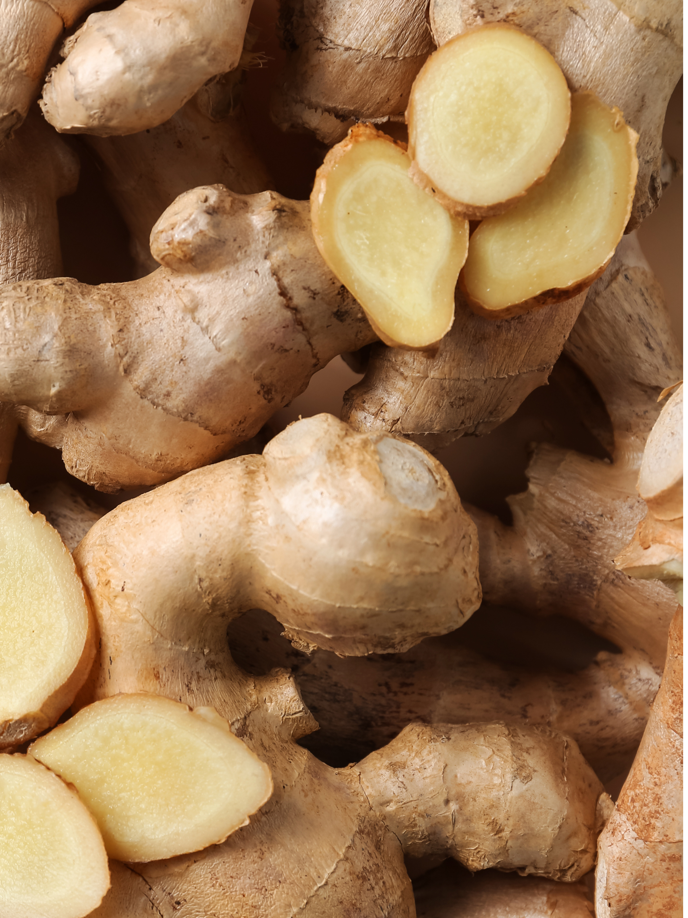Pumpkin Ginger - Make Home Smell Inviting