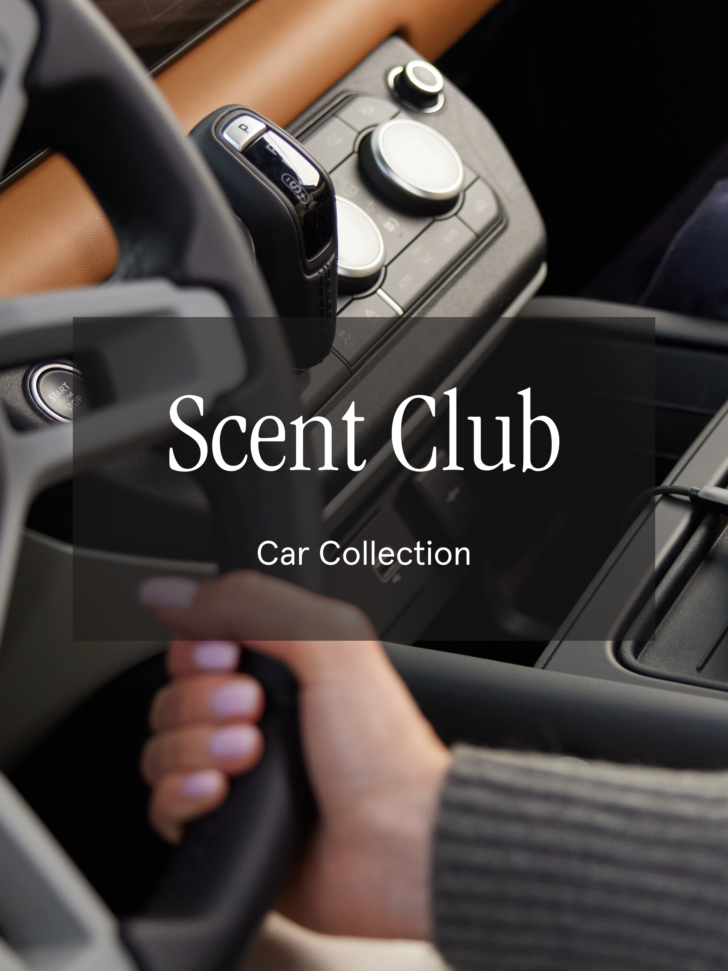 Scent Club - Freshen Up Your Favorite Spaces