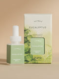 Eucalyptus - Fragrance That Fits the Room