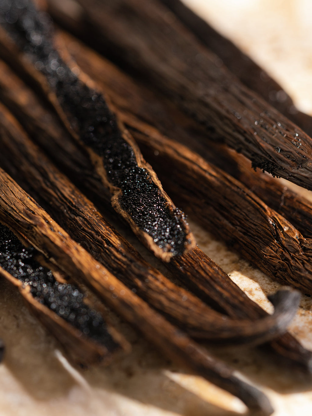 Havana Vanilla - Make Home Smell Like Home