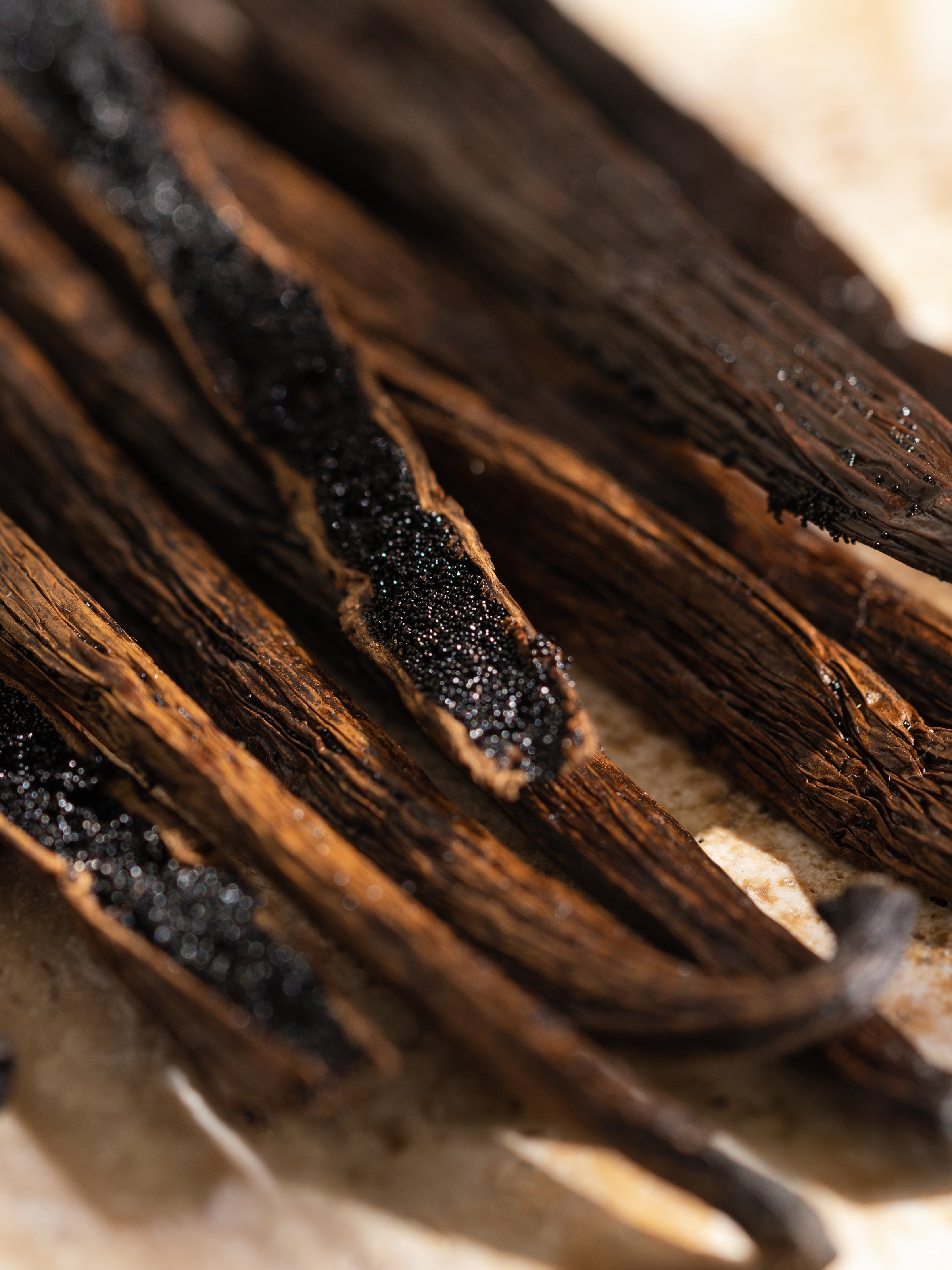 Havana Vanilla - Make Home Smell Like Home
