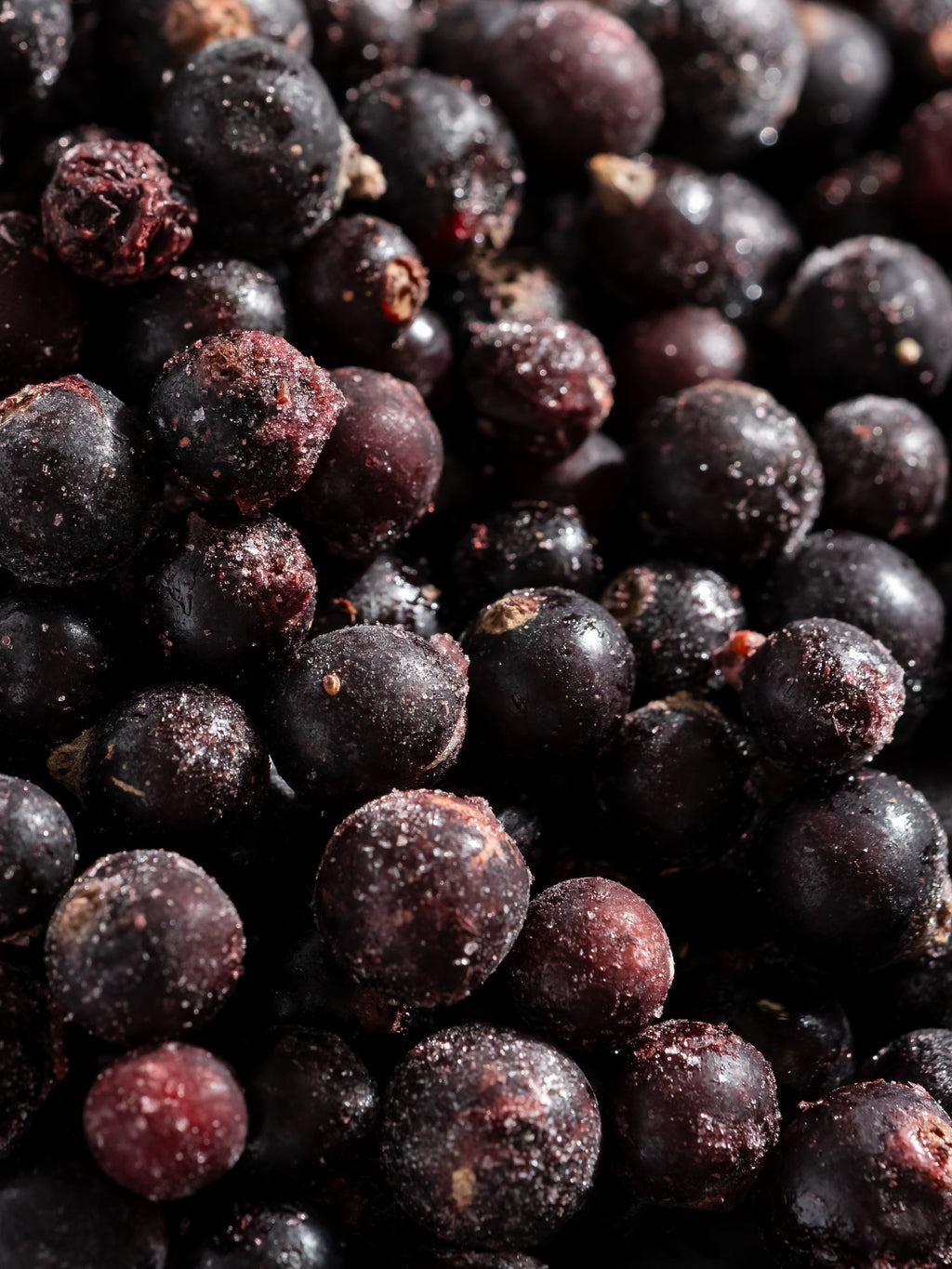 Sparkling Currant - Scents That Feel Like Home