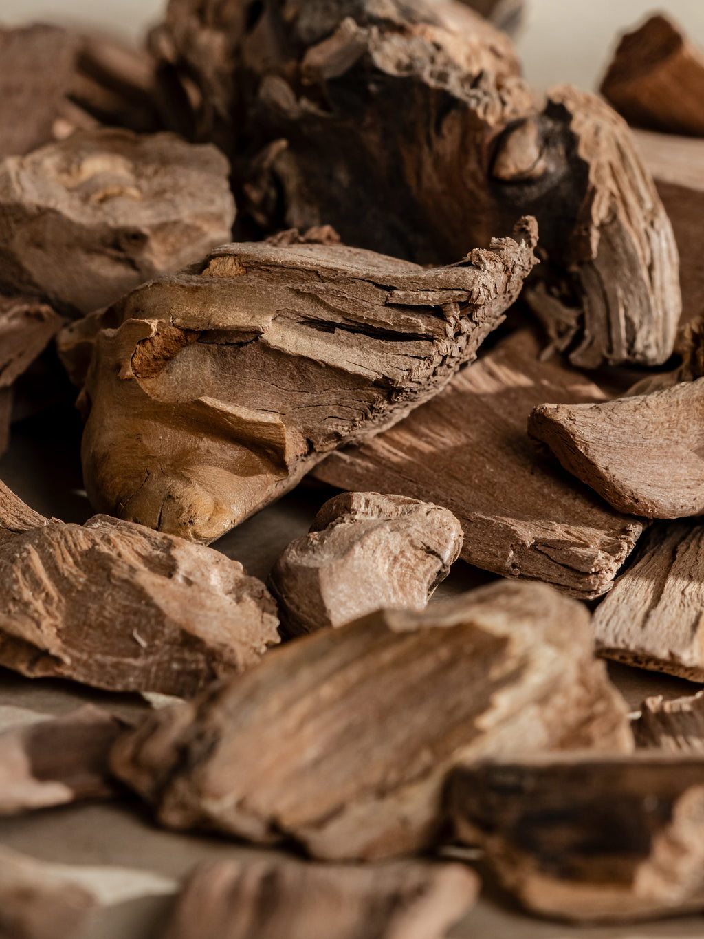 Chestnut Embers - Set a Fresh Mood Daily