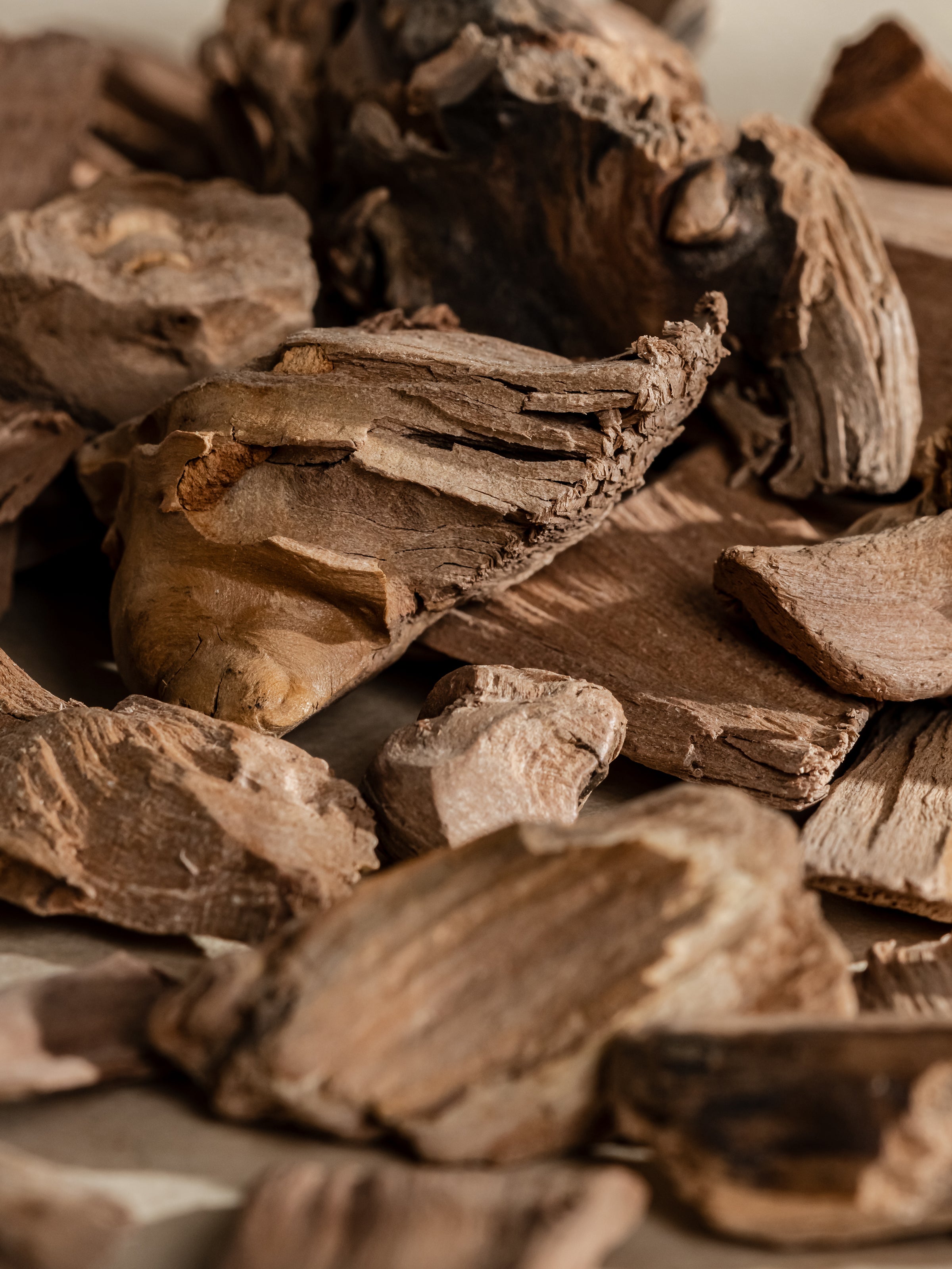 Chestnut Embers - Set a Fresh Mood Daily