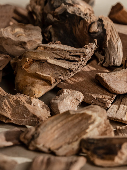 Chestnut Embers - Set a Fresh Mood Daily
