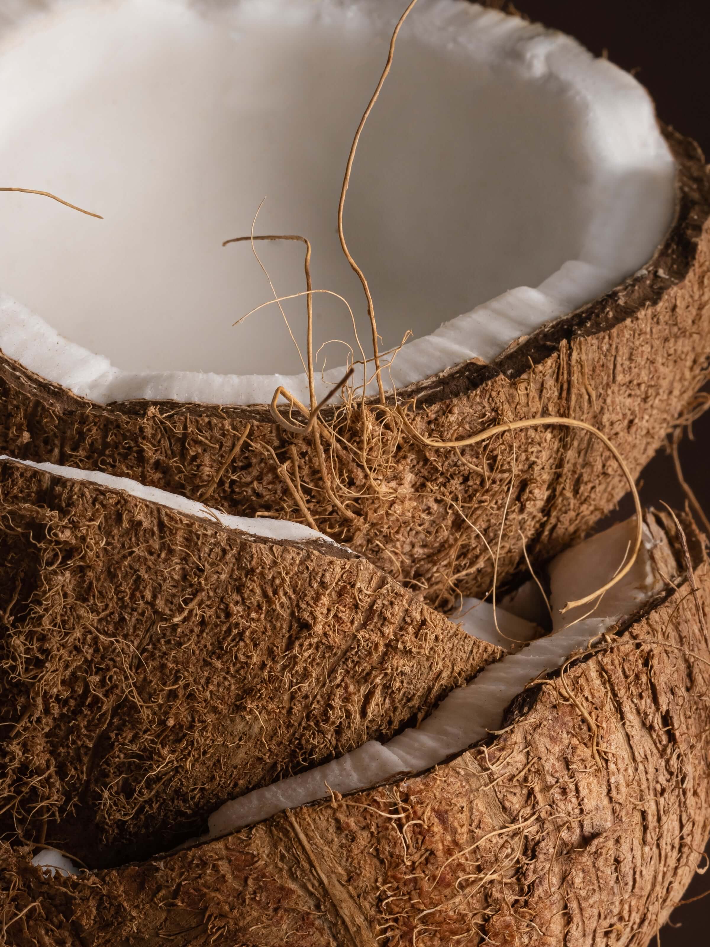 Coconut Sugar - Home Scents You Will Love