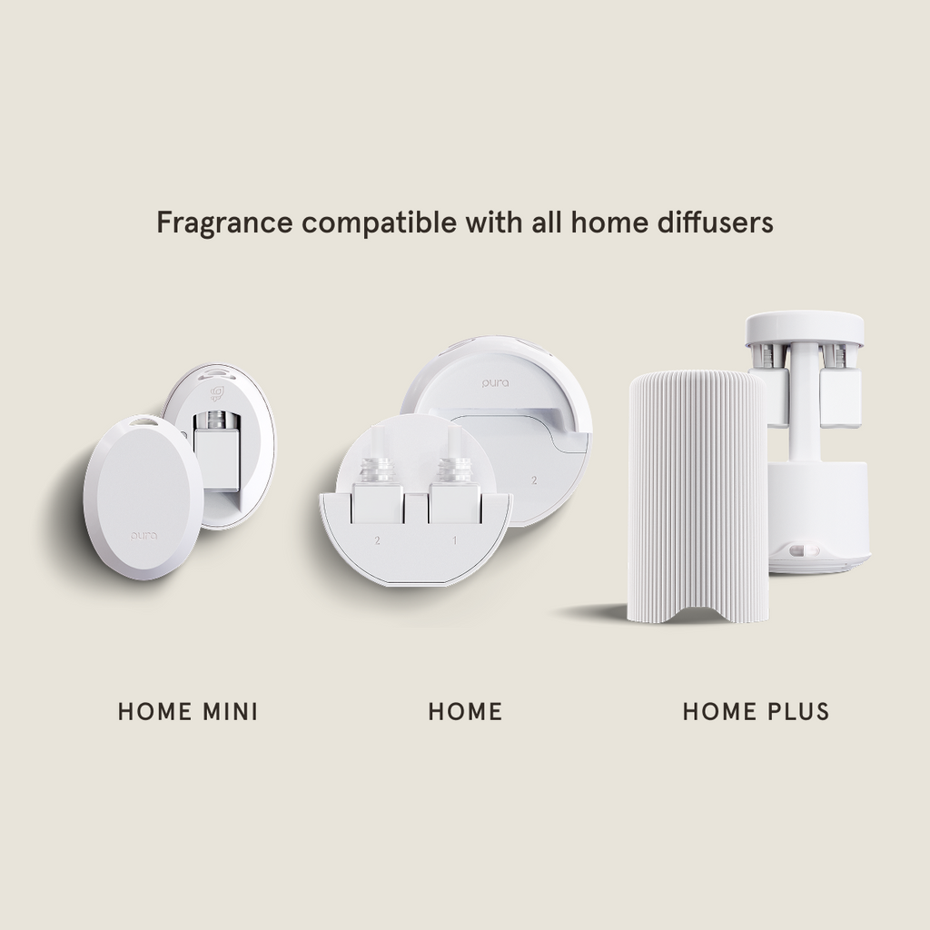 Holiday Spice - Refresh Your Kitchen With Scent