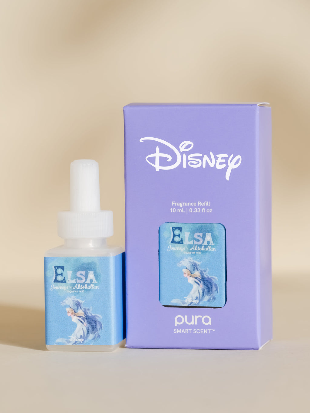 Elsa Journeys to Ahtohallan - Make Every Room Feel Better