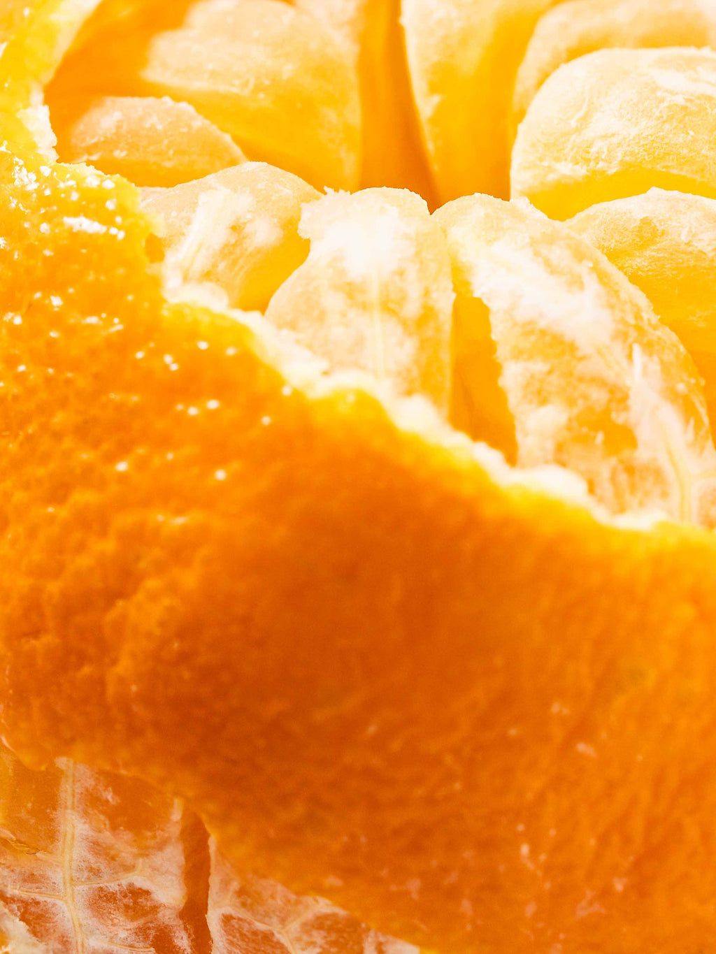 Ginger Clementine - Make Your Space Feel Inviting