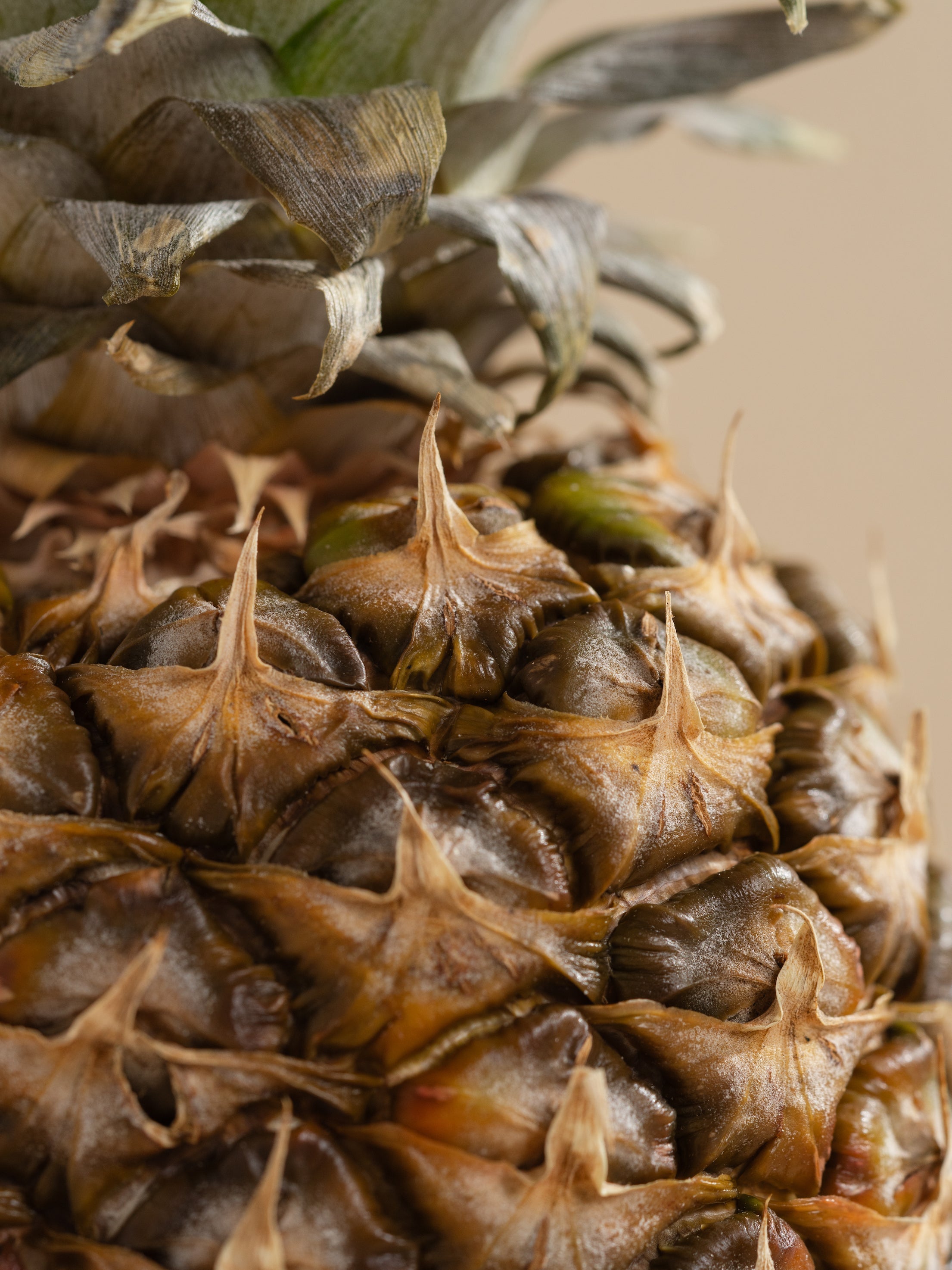 Pineapple Cilantro - Make Home Smell Clean