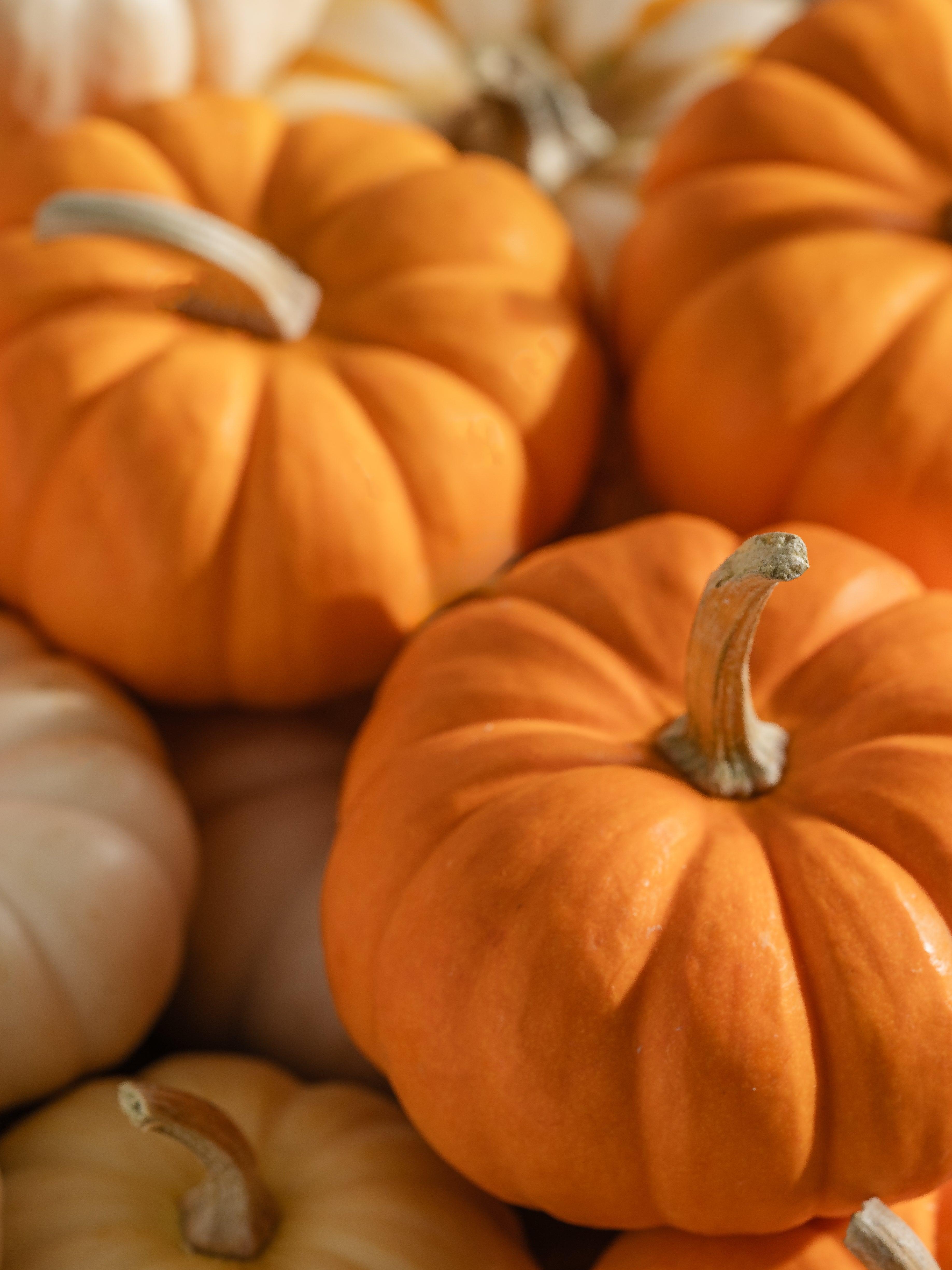 Pumpkin Picking - Home Fragrance Made Personal