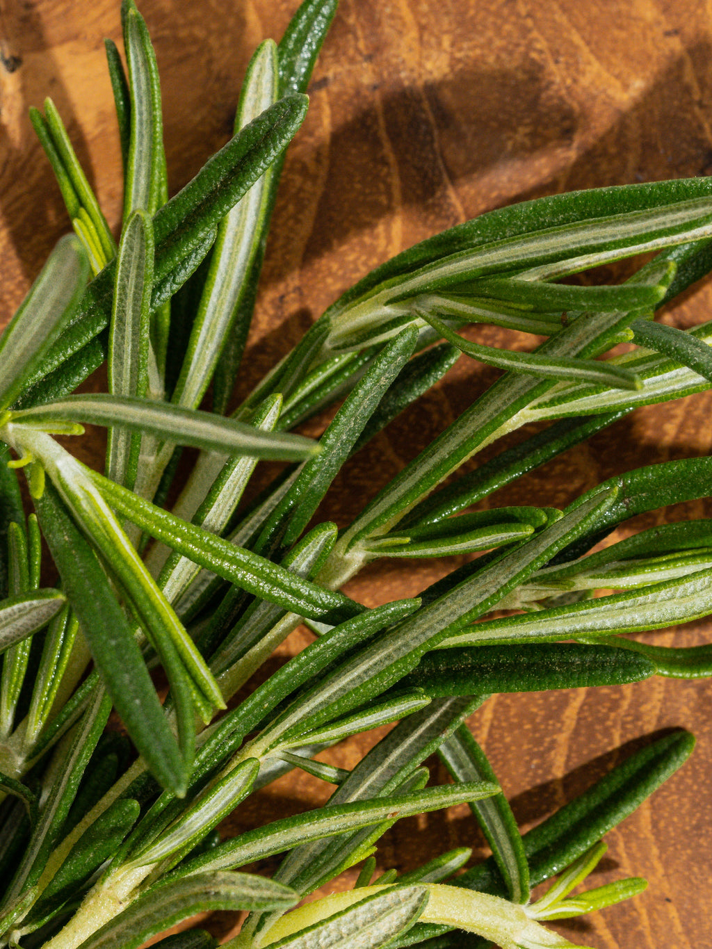 Rosemary Eucalyptus - Enjoy Freshness Your Way